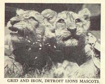 HISTORY BOOK Media. SIGNIFICANT DATES IN LIONS HISTORY June 30, 1934 George A. Richards heads group that purchases Portsmouth (Ohio) Spartans for $7,952.08 and moves team to Detroit. Aug.