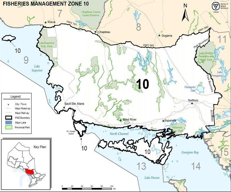 Management Zone 10 for more information). Given this information, MNR and the FMZ 10 Advisory Council decided to make management of lake trout its first focus.