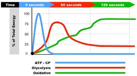 Intermediate Energy System, which is the anaerobic zone. Is the painful part of training a 400m sprinter.