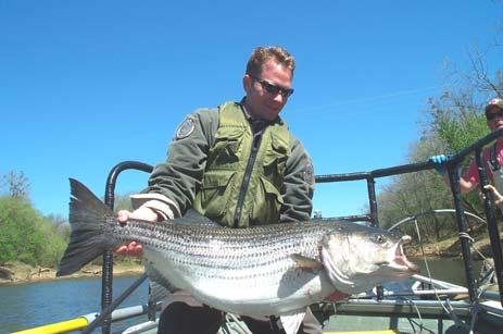 Background Inland Fisheries Division Oversees state inland fisheries and aquatic resources