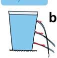 At greater depths, the net force is greater, and the velocity of the escaping liquid is greater. a. The forces against a surface add up to a net force that is perpendicular to the surface. a. The forces against a surface add up to a net force that is perpendicular to the surface. b.