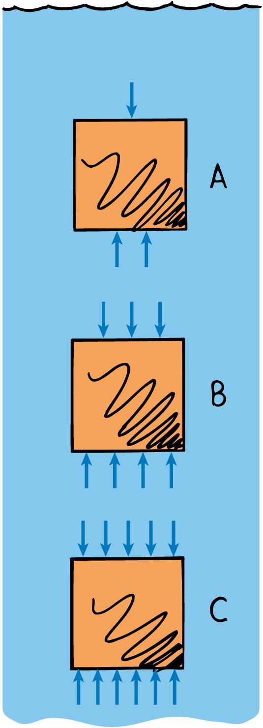 19.3 Archimedes Principle think! A block is held suspended beneath the water in the three positions, A, B, and C.