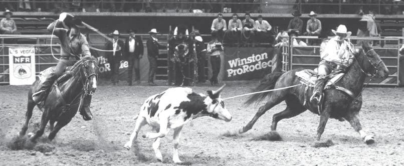 (Lower right) Motes and Gatz team up again 22 years later on this steer in February at the Wildfire Open to the World. Gatz is on Ray Gibler s stallion WB Gay Bar King Chex.