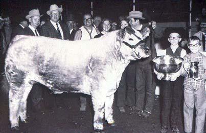60 s Recognition of Need to Change 1969 Grand Champion Steer