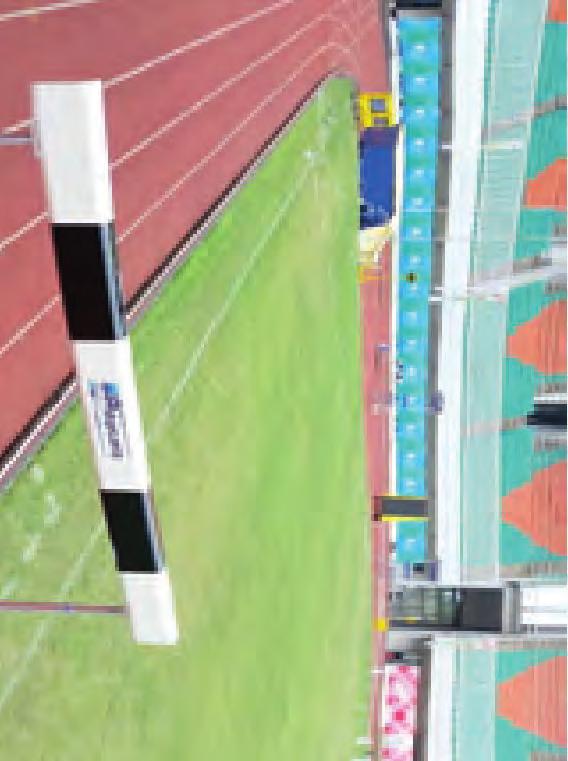 The item is available in two lengths of hurdle bar: 5.0 and 3.96 m. The hurdle can be delivered with or without crossbar.