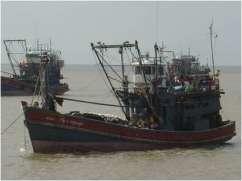 462 1100 1 Trawl Gross tonnage 52549.32 60555.19 113104.