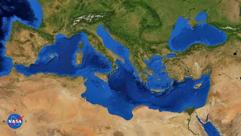 Mediterranean biodiversity A lot of endemic species, 18% of all fish species.
