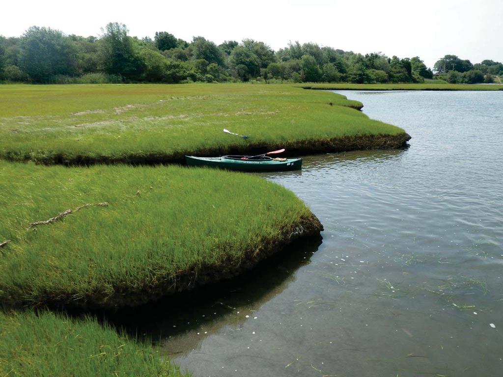 Narrow River Shoreline Protection Project Problem incremental loss of low marsh USFWS and TNC erosion study documented: