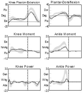 weight bearing over distal aspect of the foot and associated improved kinematics/kinetics at the ankle and knee and