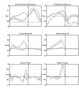 Impact of Joint Kinetic Data The joint kinetic data (GRF and C of P) provided an understanding of the extent of weight bearing during barefoot walking and how that changes with the addition of an AFO.