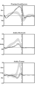 BF vs. HAFO Ankle Kinematics/Kinetics H-AFO Reduced excessive equinus in swing - Increased plantar flexor moment in stance BF vs.