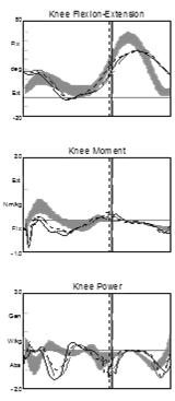 vs. PLS Knee Kinematics/Kinetics PLS Increased knee extension at IC Reduced knee flexor moment pattern Normal power absorption in MST Impact of Joint Kinetic Data PLS brace results in subtle changes