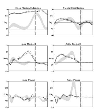 of knee flexion moment, excessive and premature ankle plantar flexor moment Elimination of abnormal knee and ankle power absorption and ankle power generation Confirms ankle power generation
