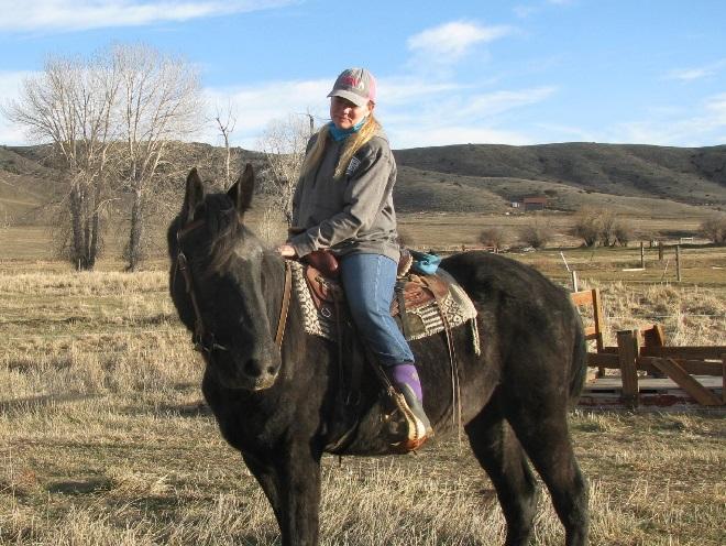 2015 GELDING Pride s Absaroka Warrior, by Piper s Pride of Absaroka out of Dollar s Absaroka May, Warrior is living up to his name. 16.