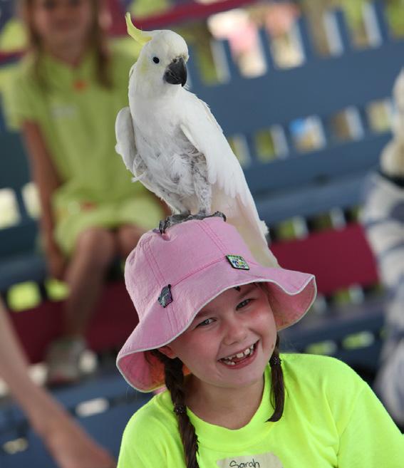 Fabulous Entertainment! Saturday Afternoon: Zoo Tek Since 1995, ZooTek has been presenting upclose-and-personal encounters with some of nature s most fascinating creatures.