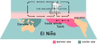Figure 1: The relationship between the Walker Circulation and ENSO as sea temperatures change.