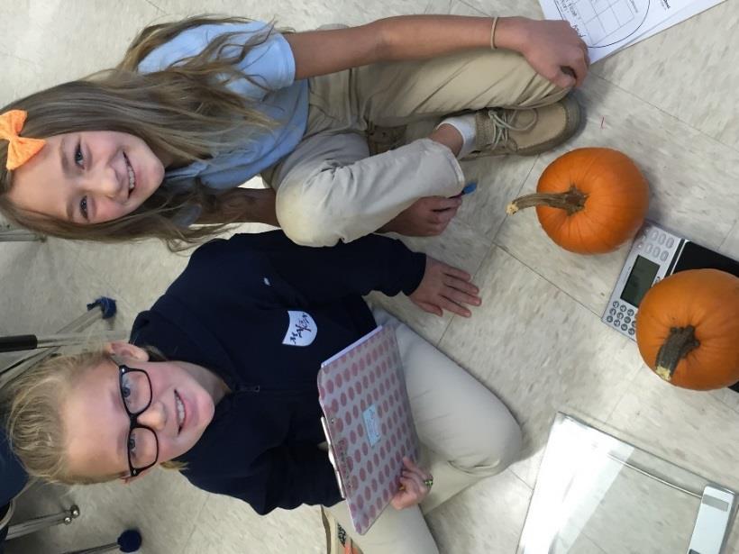 predicted and actual weights. The students followed this same process with the focus being the predicted and actual circumference of their pumpkins.