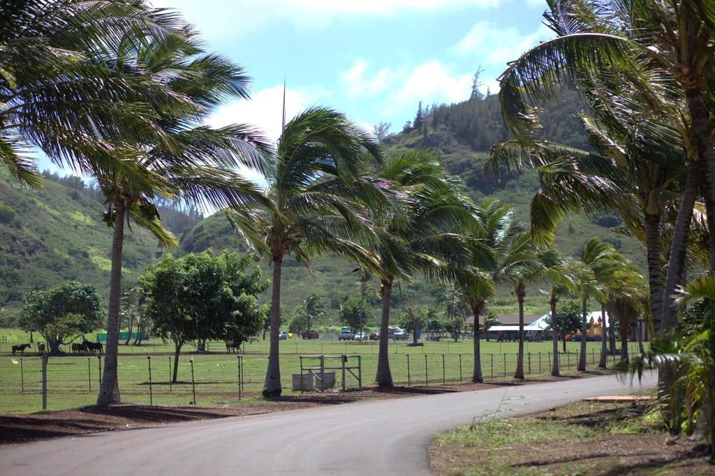 The Pahipahi alua Walking Horse Ranch Located on the gorgeous, North Shore of Oahu across from Kawela Bay.