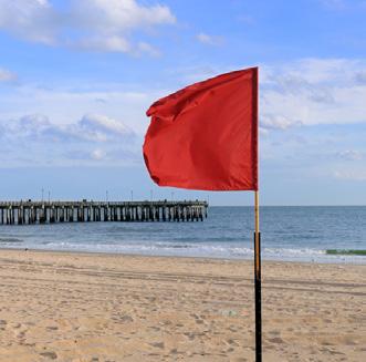 is to learn the beach flags!