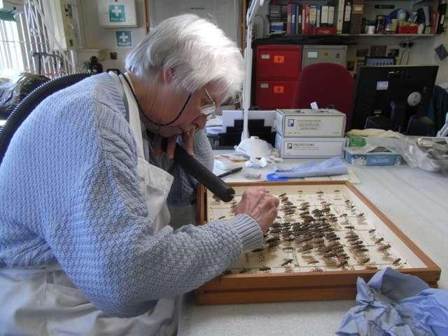 What we cannot do is provide expertise on the collections, curate or conserve the Natural History collections