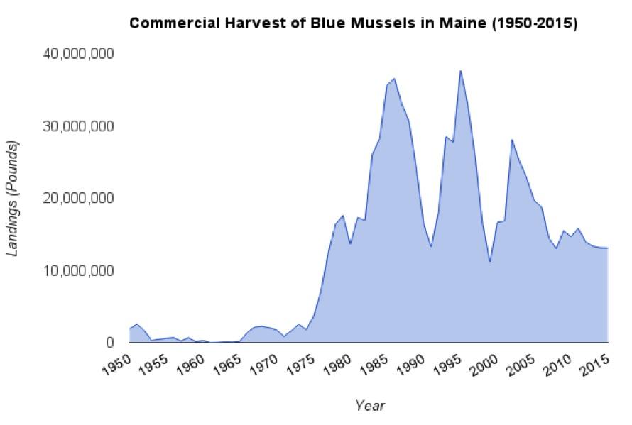 The blue mussel supports a very small commercial fishery in Rhode Island, and landings are variable.