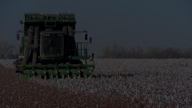 2018 Cotton Market Outlook: At What Price Sh
