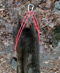 When we place a loop around the rock or tree and clip the ends of that loop together with a carabiner four strands hold the force we place on the anchor, which puts only ¼ the force on each strand