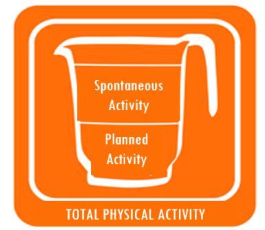 Session 8: Step Up Your Physical Activity Plan In Session 4 you learned that both planned and spontaneous physical activities are important. Together they make up your total day-to-day activity level.