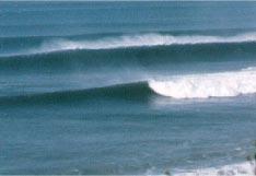 Waves Formed by winds both locally and far offshore Move sand both