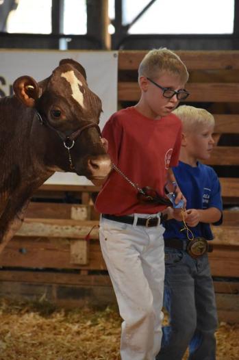 9a Special Children s Day at the Fair (by invitation only) 1p Pre-K Children s Program 4p All Poultry entries in Chicken House 5p