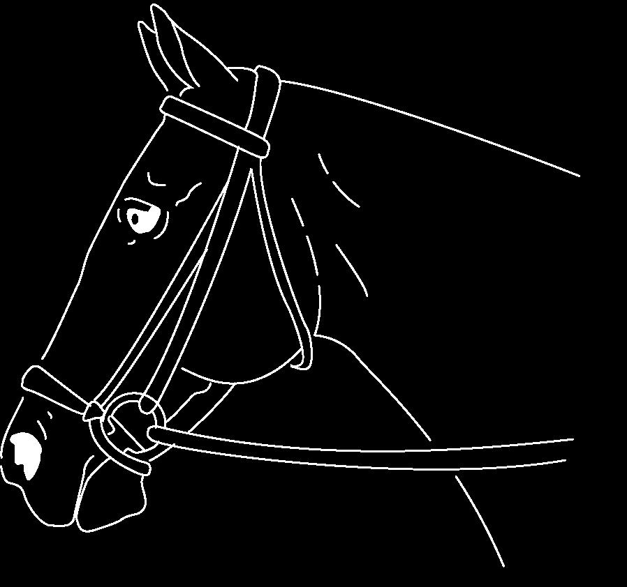 CHAPTER II DRESSAGE EVENTS Permitted nosebands