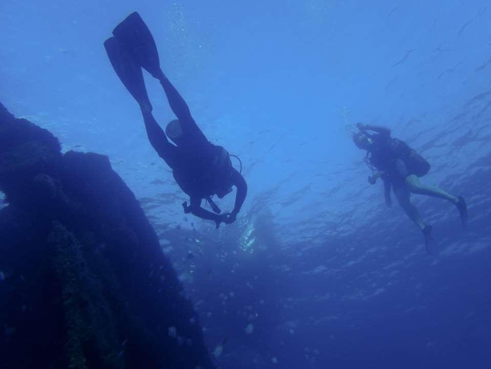Recreation and Culture Direct Scuba Diving Sport Fishing, Spear Fishing and Recreational Boat fishing