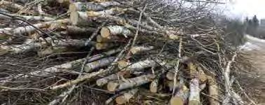 ca Licence needed to Harvest Firewood on crown Land licence is required to harvest or collect A firewood on Crown land for the purpose of generating heat for personal use, such as in a furnace or