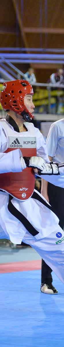 RESERVATION NUMBER - GF 82025 RESERVATIONFORM DUTCH OPEN TAEKWONDO 2018 Name Group Address Group Country Contact-person Telephone-number Fax-number Date of Arrival Date of Departure Single-room