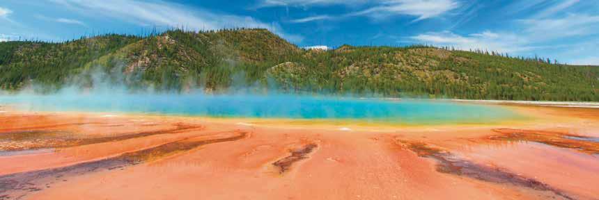 YELLOWSTONE & THE GRAND TETONS Including a Wildlife Excursion June 9-15, 2018 7 DAYS TOUR HIGHLIGHTS & INCLUSIONS Roundtrip Airfare from MSP Deluxe Motorcoach Transportation 6 Nights Quality