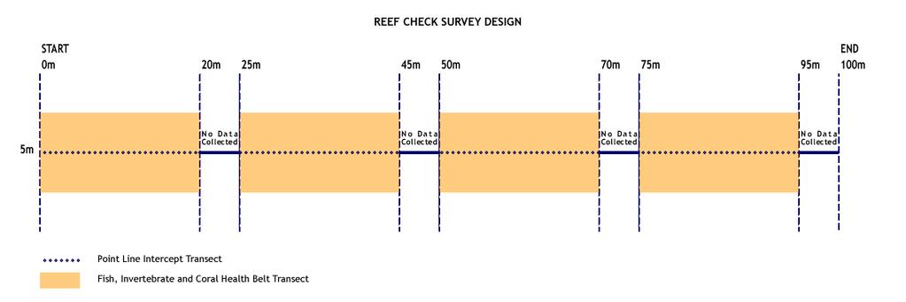 REEF CHECK METHODS Reef Check s methods were designed to be simple and easy to use by anybody in the community after a little training.