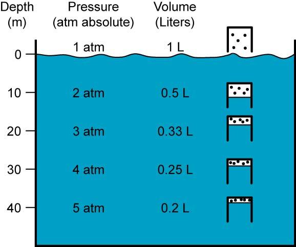 For example, Figure 17 details what happens if 1 liter air is taken under water in an open beaker: Figure 17: 1 Liter Beaker of Air Conforming to Boyle s Law under Water P 1 V 1 = P 2 V 2 = P 3 V 3 =