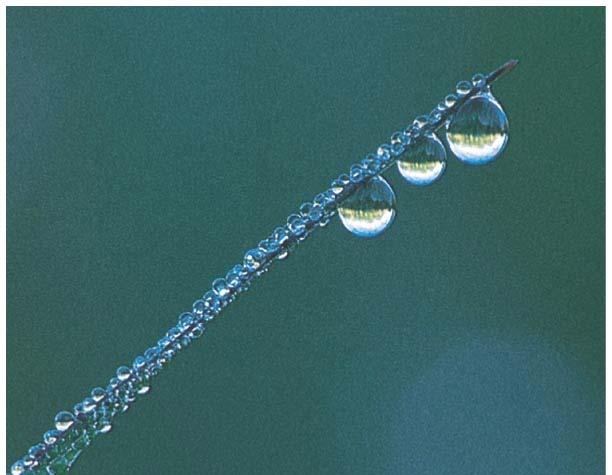 13-13 Surface Tension and Capillarity The surface of a liquid at rest is not perfectly flat; it curves either up or down