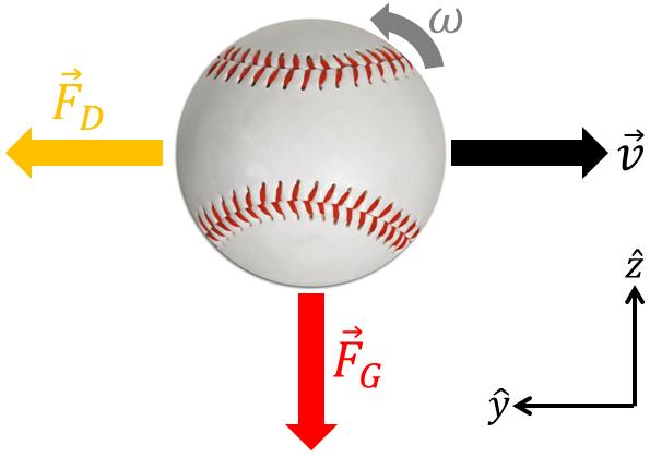 Read This: As the ball travels, the drag force, gravitational force, and Magnus force (to be explained shortly) all significantly alter the various components of its velocity.