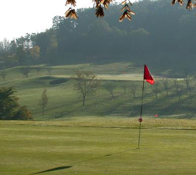 the course meanders through an old fruit farm, where wayward shots can be rewarded by