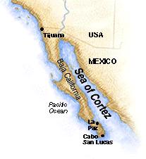 Gulf of California Colorado River Delta water and nutrients Long narrow sea - isolated for a long time Many