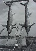 Shifting Baselines Swordfish, 1940, coastal Peru http://www. antiquefishingreels.com/ What is a shifting baseline?