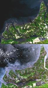 California 2001-83% wetlands converted to shrimp