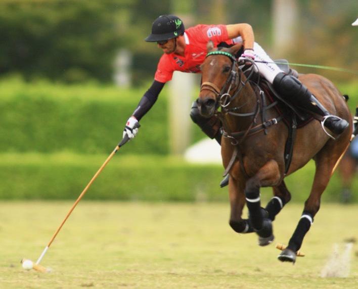 ABOUT NIC ROLDAN Fueled by talent, charisma and passion, Nic Roldan is the present leading American polo player with an impressive 8-goal handicap rating.