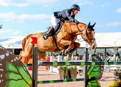 WELLINGTON, FLORIDA The winter season attracts the equestrian elite to Wellington, Florida, from Show Jumping to Dressage and Polo.