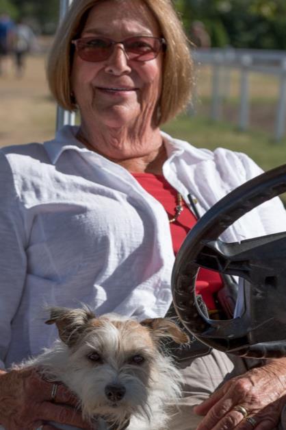 Debbie Sands (Professional) Has been in business for 45+ years as trainer, judge and steward. Showed at indoors as a junior. Worked with race horses for 14 years, breaking, rehabilitation and sales.