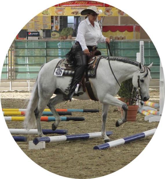 Western Directors Renee Baker (Professional) I have been riding all breeds of western and English type horses for the past 45 years.