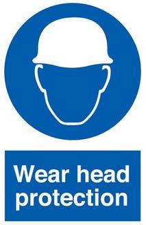 Head Protection What are some causes of head injuries? Flying or falling objects (tools, materials, etc.