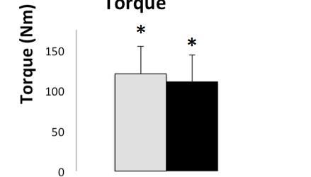 Figure 4.16: Pre- and post-run ankle plantar flexor torque. Light gray bar is pre-run, and black bar is post-run. Standard deviation bars are shown on top. * = significance (α = 0.05).