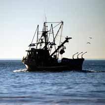 We recognise the issues associated with illegal, unregulated and unreported (IUU) catches of fish and fully support EU regulations introduced in 2010, which require that all fishery products entering